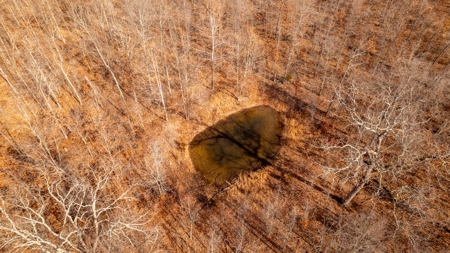 1,207 Acre Hunting Property in Alton, Missouri - image 13