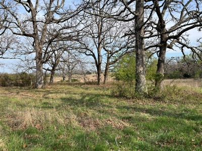 1,207 Acre Hunting Property in Alton, Missouri - image 34
