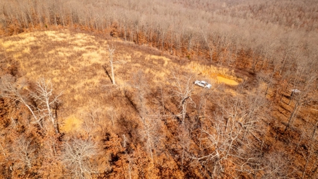 1,207 Acre Hunting Property in Alton, Missouri - image 24