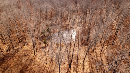 1,207 Acre Hunting Property in Alton, Missouri - image 17