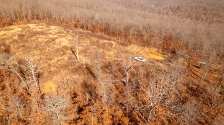 1,207 Acre Hunting Property in Alton, Missouri - image 23