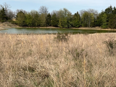 1,207 Acre Hunting Property in Alton, Missouri - image 33