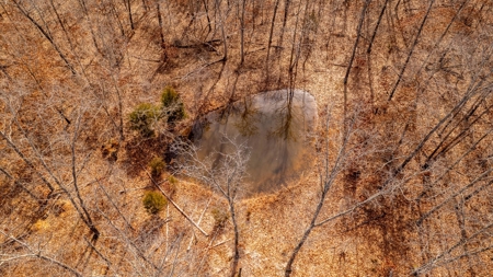 1,207 Acre Hunting Property in Alton, Missouri - image 18