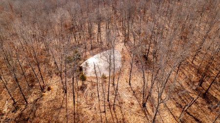 1,207 Acre Hunting Property in Alton, Missouri - image 15
