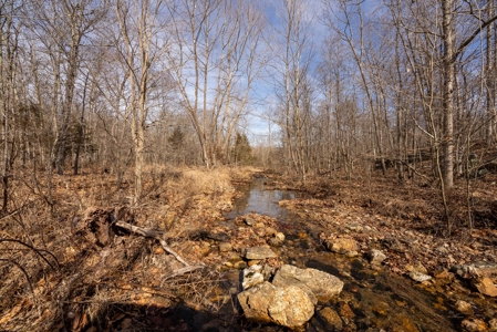 1,207 Acre Hunting Property in Alton, Missouri - image 7