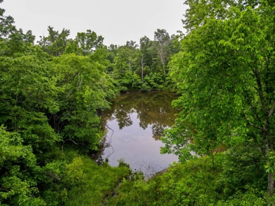1,207 Acre Hunting Property in Alton, Missouri - image 45