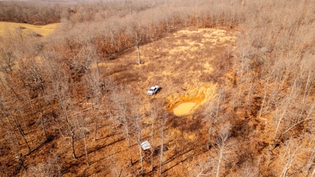 1,207 Acre Hunting Property in Alton, Missouri - image 22