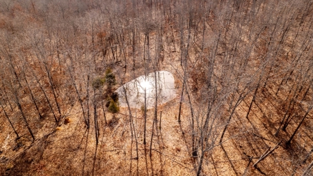 1,207 Acre Hunting Property in Alton, Missouri - image 16