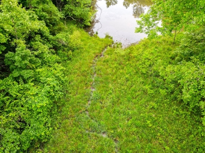 1,207 Acre Hunting Property in Alton, Missouri - image 46