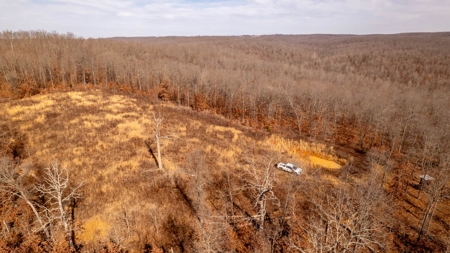 1,207 Acre Hunting Property in Alton, Missouri - image 25