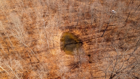 1,207 Acre Hunting Property in Alton, Missouri - image 12