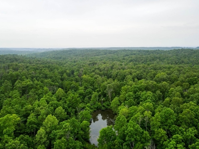1,207 Acre Hunting Property in Alton, Missouri - image 44
