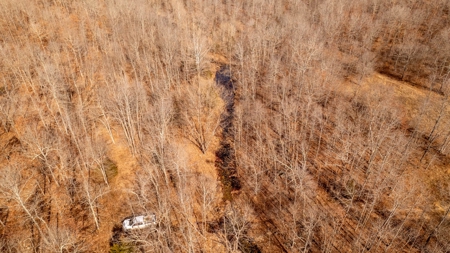 1,207 Acre Hunting Property in Alton, Missouri - image 20