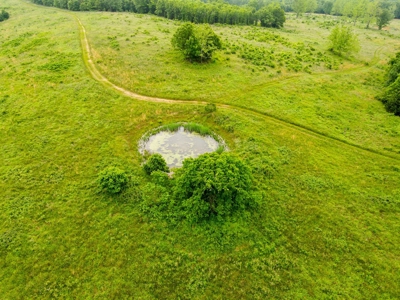 1,207 Acre Hunting Property in Alton, Missouri - image 41