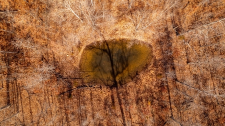 1,207 Acre Hunting Property in Alton, Missouri - image 14