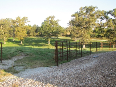 Northeast MO Pasture Farm w/ Country Home - image 48