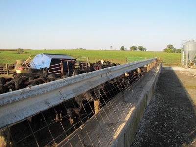 Northeast MO Pasture Farm w/ Country Home - image 46