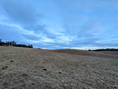 Farmland for Sale in Floyd VA - image 8