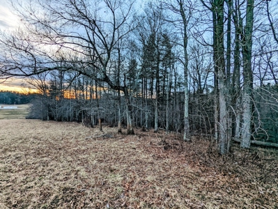 Farmland for Sale in Floyd VA - image 17