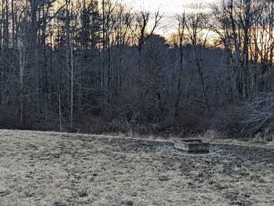 Farmland for Sale in Floyd VA - image 11