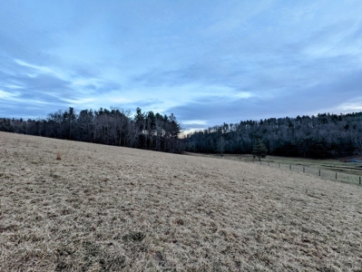 Farmland for Sale in Floyd VA - image 18
