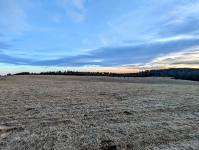 Farmland for Sale in Floyd VA - image 5