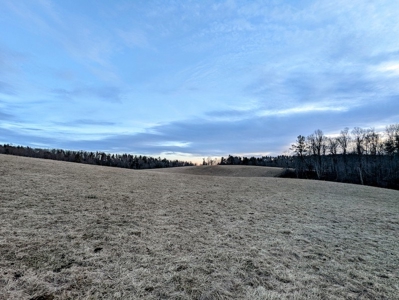 Farmland for Sale in Floyd VA - image 10