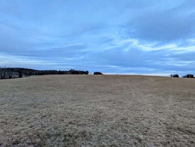 Farmland for Sale in Floyd VA - image 13