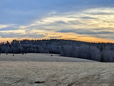 Farmland for Sale in Floyd VA - image 1