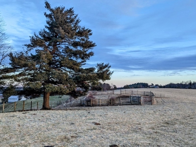 Farmland for Sale in Floyd VA - image 3