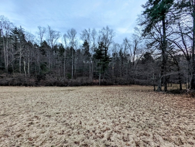 Farmland for Sale in Floyd VA - image 21