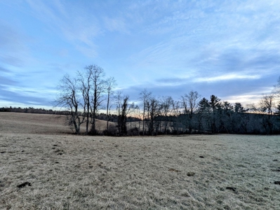 Farmland for Sale in Floyd VA - image 9