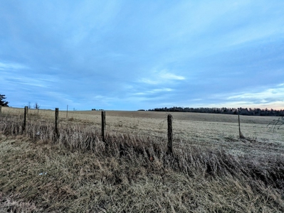 Farmland for Sale in Floyd VA - image 29