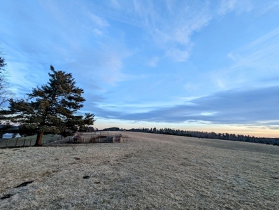 Farmland for Sale in Floyd VA - image 4