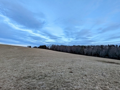 Farmland for Sale in Floyd VA - image 14