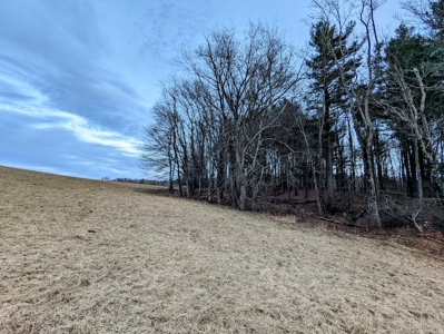 Farmland for Sale in Floyd VA - image 19
