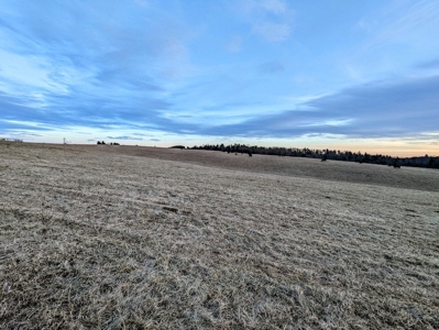 Farmland for Sale in Floyd VA - image 7
