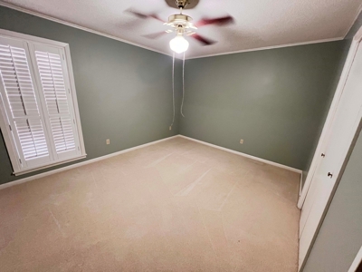 East Texas Country Home, Homestead with Pecan Grove for Sale - image 26