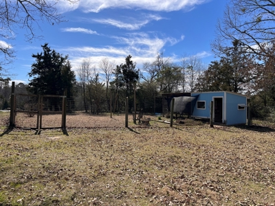 East Texas Country Home, Homestead with Pecan Grove for Sale - image 11