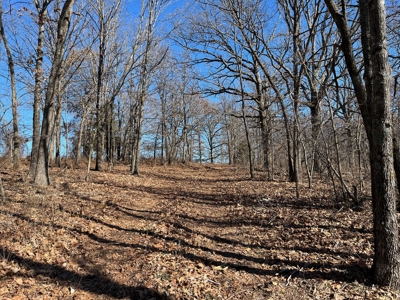 Hunting, Recreational, Prime Acreage For Sale Jay, Ok - image 4