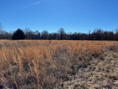 Hunting, Recreational, Prime Acreage For Sale Jay, Ok - image 7