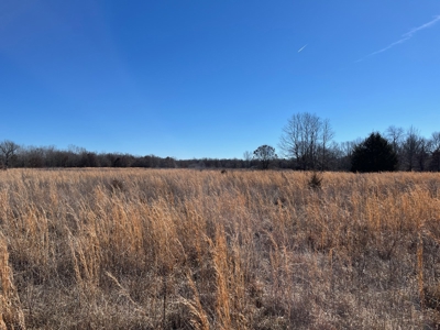Hunting, Recreational, Prime Acreage For Sale Jay, Ok - image 8