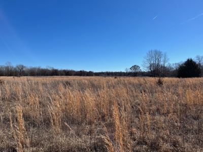 Hunting, Recreational, Prime Acreage For Sale Jay, Ok - image 10