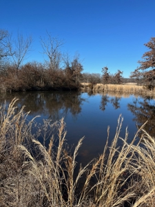 Hunting, Recreational, Prime Acreage For Sale Jay, Ok - image 9