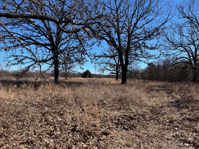 Hunting, Recreational, Prime Acreage For Sale Jay, Ok - image 1