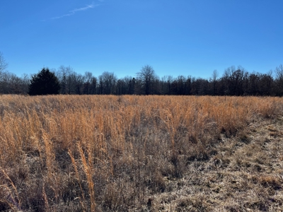 Hunting, Recreational, Prime Acreage For Sale Jay, Ok - image 5