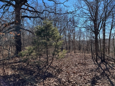 Hunting, Recreational, Prime Acreage For Sale Jay, Ok - image 3