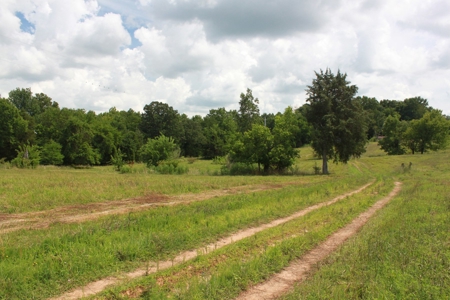 Prime Multi-Use Development Land near Bowling Green, KY - image 4