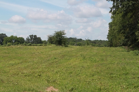 Prime Multi-Use Development Land near Bowling Green, KY - image 8