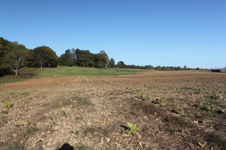 Prime Multi-Use Development Land near Bowling Green, KY - image 30
